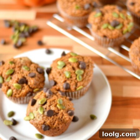 Wholesome Pumpkin Chocolate Chip Muffins 2 Pepita Chocolate Chip Pumpkin Muffins