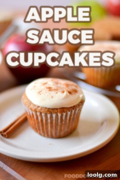 Sweet Applesauce Cupcakes Cream Cheese Bliss 1 Delicious applesauce cupcake with light cream cheese frosting