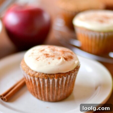 Sweet Applesauce Cupcakes Cream Cheese Bliss 3 Whole Wheat Applesauce Cupcakes with Greek Yogurt Cream Cheese Frosting