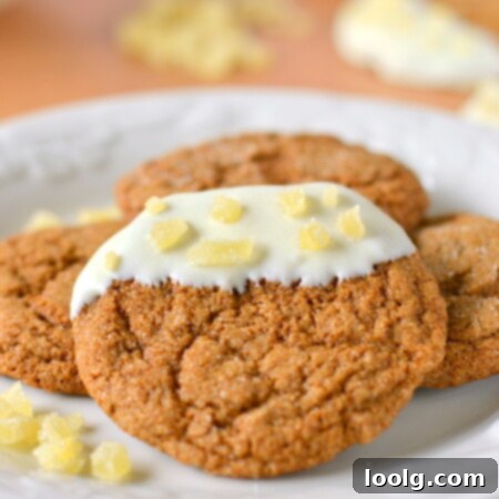 Chewy 100% Whole Wheat Gingersnaps