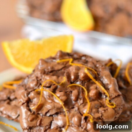 Zesty Orange Chocolate Lava Puddles 1 These Flourless Chocolate Orange Puddle Cookies are the best! So easy to make and they're delicious! Naturally gluten and dairy free too!