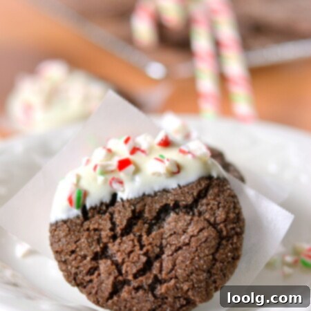 Rustic Whole Wheat Chocolate Delights 1 Chewy Whole Wheat Chocolate Cookies