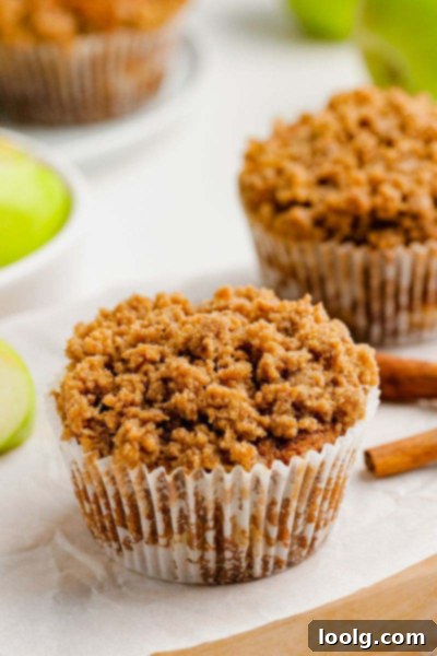 Spiced Apple Morning Muffins 2 img 111548 1