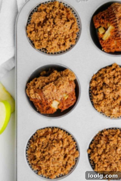 Spiced Apple Morning Muffins 3 img 111548 2