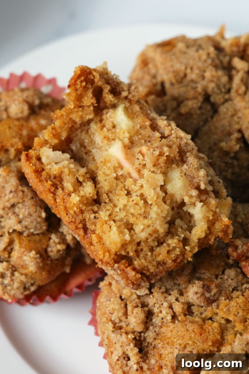 Spiced Apple Morning Muffins 4 Healthy Cinnamon Apple Muffins (gluten-free option)