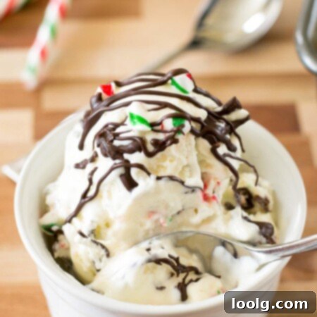 image of scoops of homemade candy cane chocolate chunk ice cream with chocolate drizzled on top