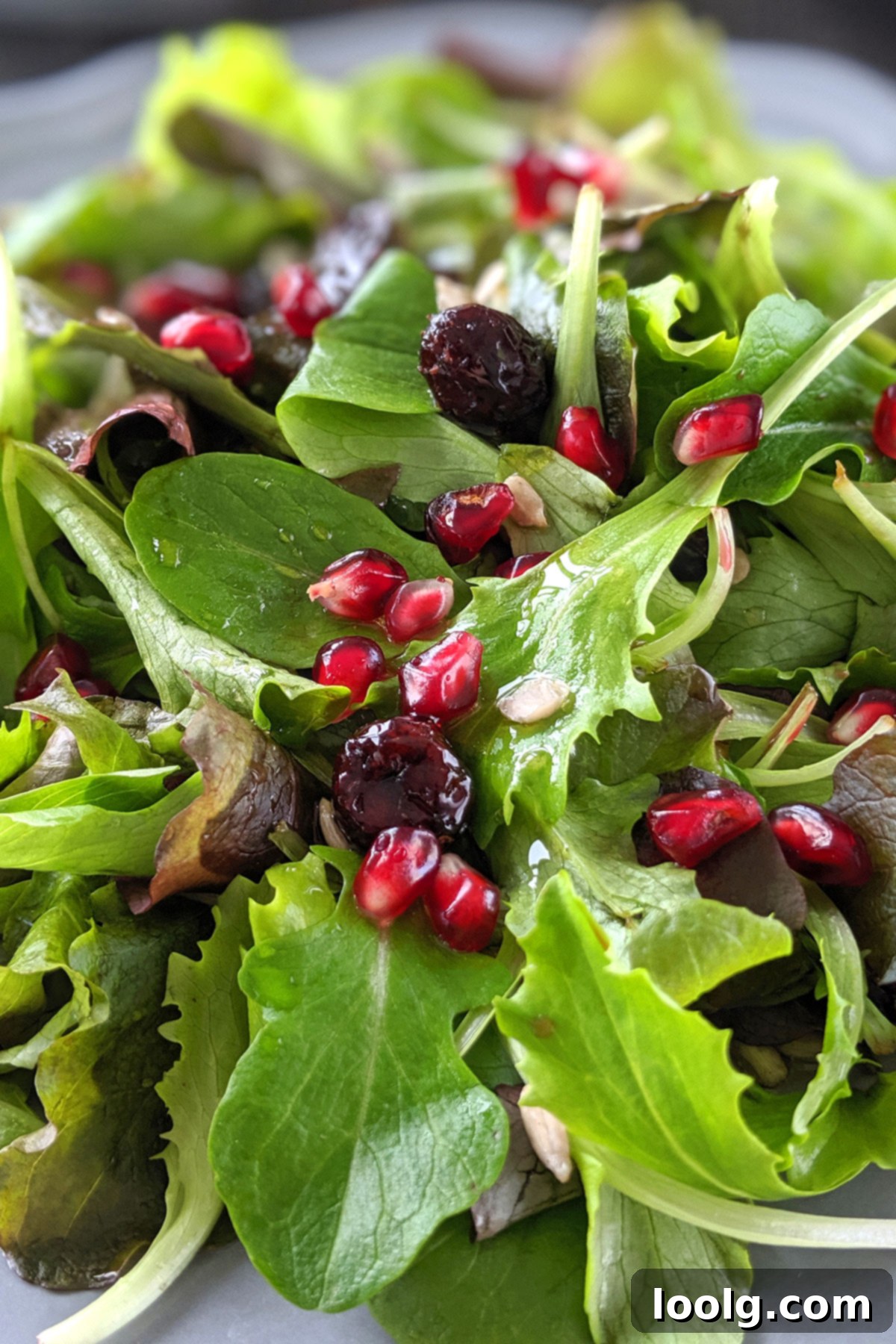 Cranberry Sunshine Salad 2 Sunflower Seed Salad (vegan, paleo)