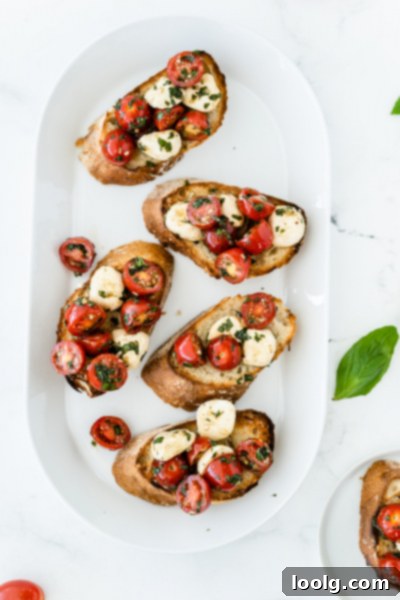 Sun-Ripened Tomato Mozzarella Bruschetta 7 A plate of fresh bruschetta with tomatoes, mozzarella, and basil