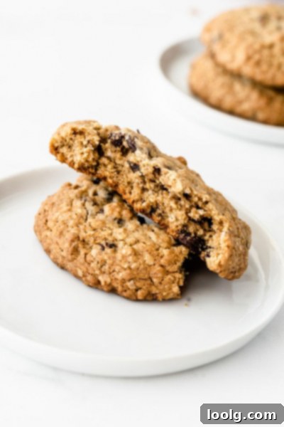 No-Butter Oatmeal Bliss 2 Two golden-brown oatmeal cookies without butter on a plate, one with a bite taken out of it, showcasing a chewy texture.