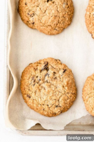 No-Butter Oatmeal Bliss 4 Another image of stacked oatmeal cookies without butter, with a rustic background.