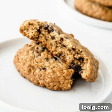 No-Butter Oatmeal Bliss 8 Photo of two oatmeal cookies made without butter on a plate, one with a bite taken out of it.
