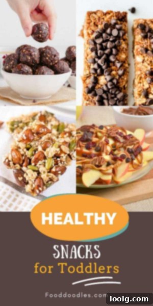 Little Bites for Little Ones 2 Healthy Snacks for Toddlers - A plate of various wholesome snacks