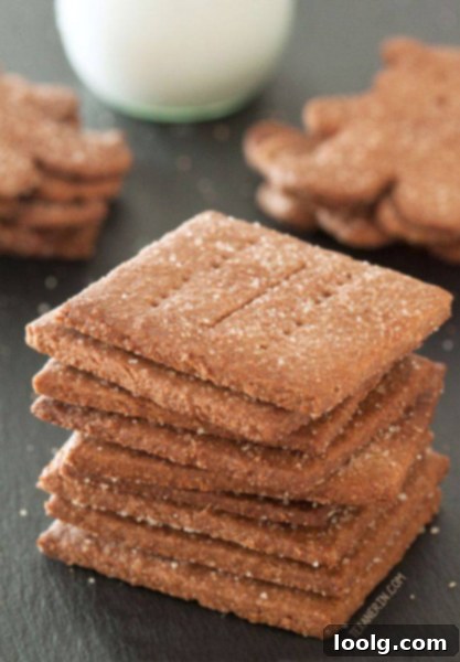 Little Bites for Little Ones 11 Whole Wheat Vegan Graham Crackers - square crackers on a plate