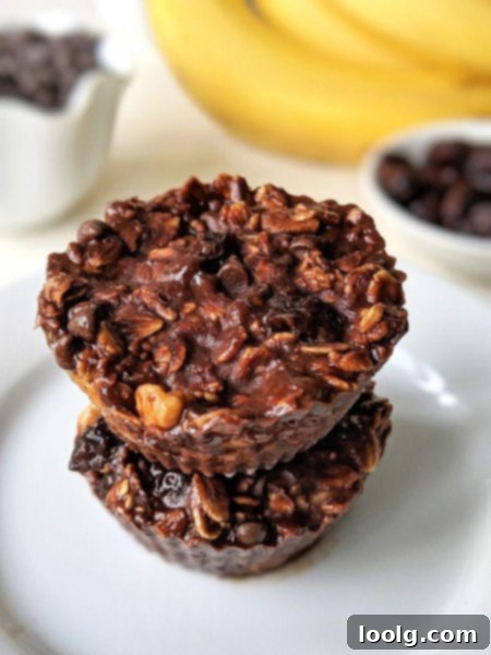 Little Bites for Little Ones 12 Banana Granola Bars - no-bake, healthy snack bars
