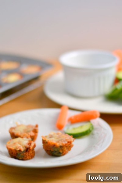 Little Bites for Little Ones 6 Mini Pizza Quinoa Bites - small, round pizza-like snacks