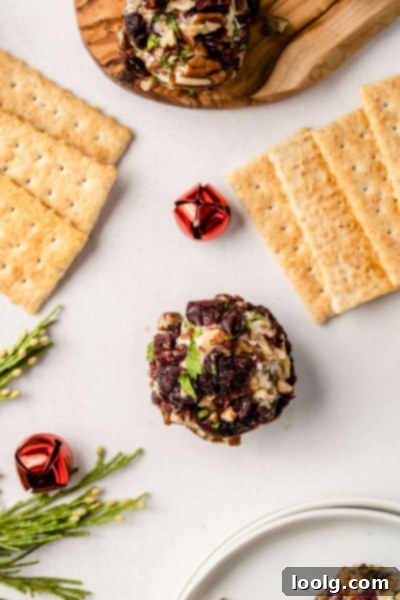 Tangy Goat Cheese Truffles 4 Three Goat Cheese Balls arranged aesthetically, showcasing their vibrant coating