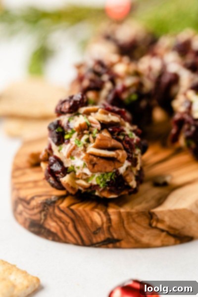 Tangy Goat Cheese Truffles 6 A single Goat Cheese Ball, perfectly coated, ready to be served