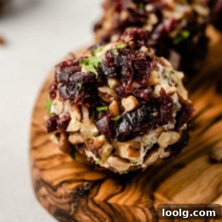 Tangy Goat Cheese Truffles 8 Goat Cheese Balls close-up