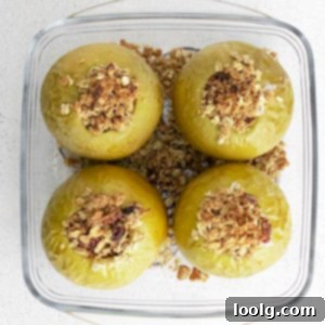 Quick & Easy Air Fryer Baked Apples 11 Image of four air fryer baked apples with an oat-based crumble filling inside each apple with cinnamon, raisins and pecans.