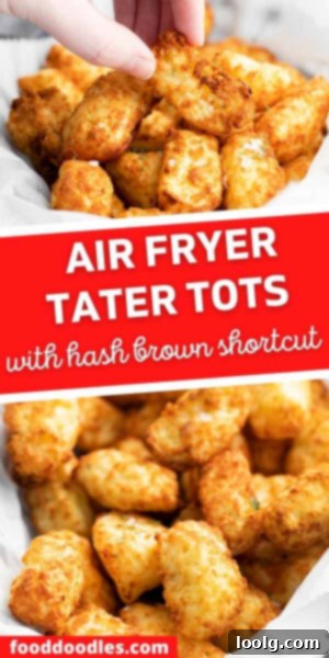 Crispy Air Fryer Tater Tots with Hash Brown Hack 6 air fryer tater tots pins