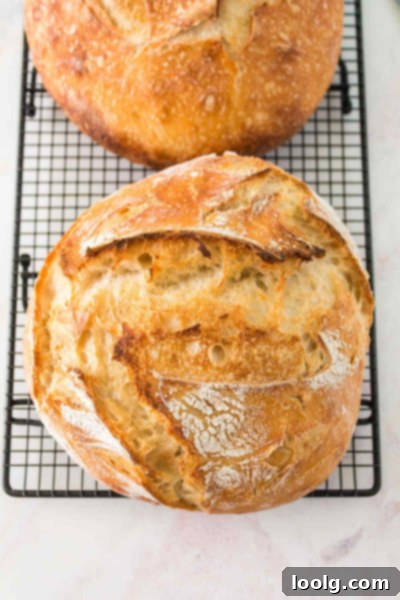 Slow Rise Sourdough Perfection 2 2 loaves of overnight sourdough