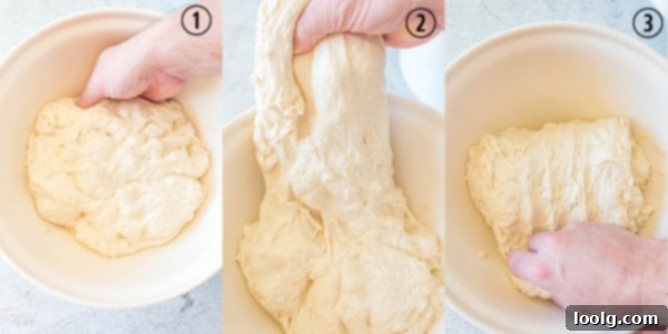 Slow Rise Sourdough Perfection 6 hands folding over dough
