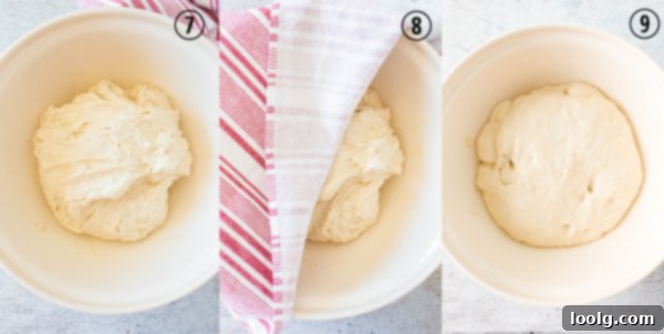 Slow Rise Sourdough Perfection 8 stretched dough in bowl and covered by towel