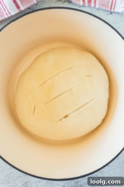 Slow Rise Sourdough Perfection 9 scored loaf of bread