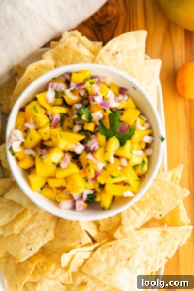 Tropical Heat Salsa 7 bowl of mango habanero salsa with chips