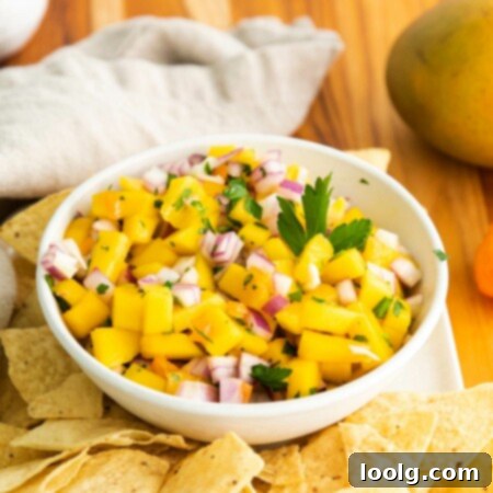 Tropical Heat Salsa 9 mango habanero salsa with chips