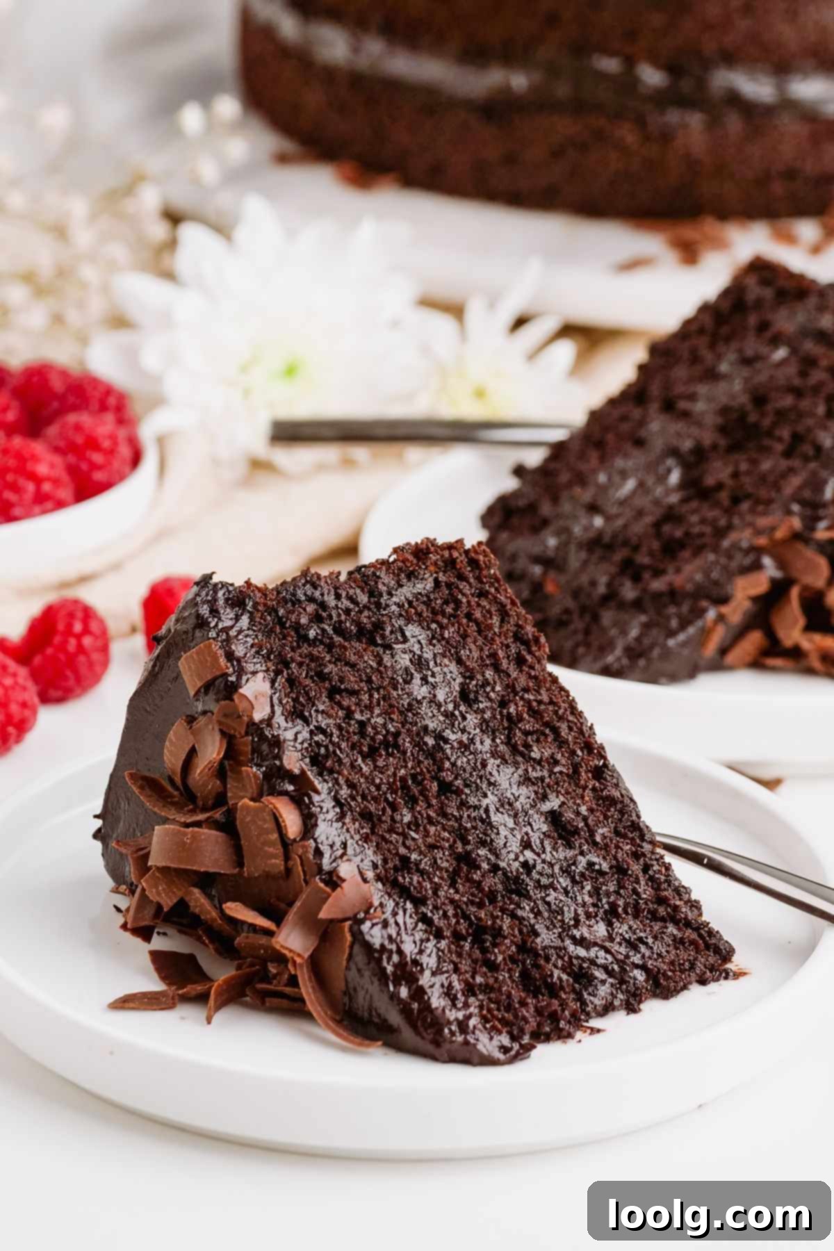 Wholesome Chocolate Indulgence 2 healthy chocolate cake slice on white plate