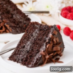 Wholesome Chocolate Indulgence 11 slice of healthy, super moist chocolate cake on a plate with fresh raspberries in the background