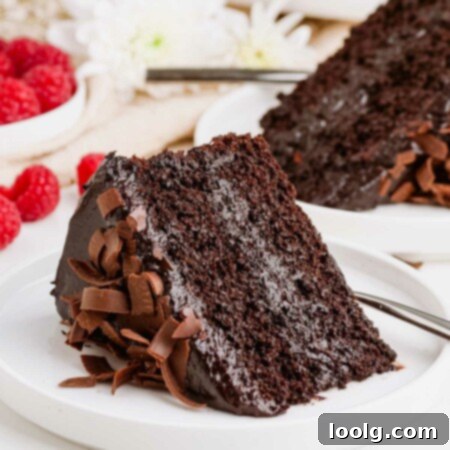Wholesome Chocolate Indulgence 12 slice of healthy chocolate cake