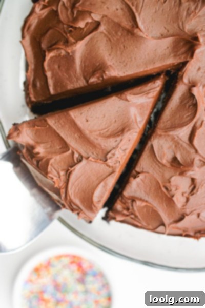 Wholesome Chocolate Indulgence 7 chocolate fudge frosting