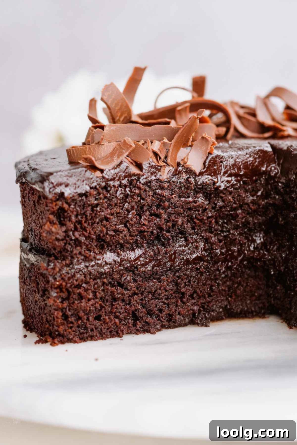 Wholesome Chocolate Indulgence 8 cut into healthy chocolate cake
