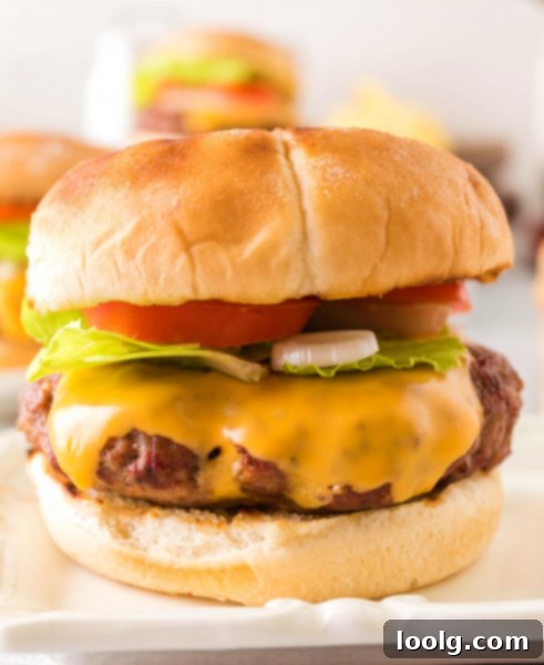 Smoky Burger Perfection 2 close-up of perfectly smoked hamburger with melted cheese