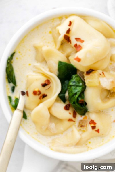 Speedy & Satisfying Tortellini Soup 2 Close-up of a steaming bowl of creamy Instant Pot tortellini soup with spinach and carrots