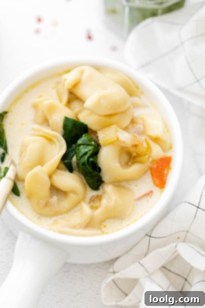 Speedy & Satisfying Tortellini Soup 11 Bowl of creamy tortellini soup with fresh spinach leaves on top