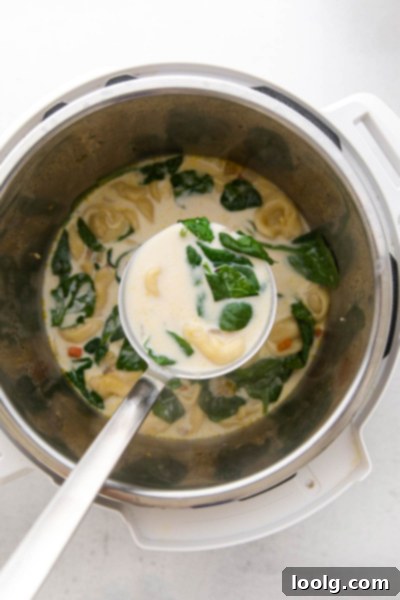 Speedy & Satisfying Tortellini Soup 8 Ladle scooping up a portion of rich Instant Pot tortellini soup from a pot
