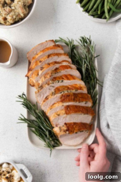 Perfect Air Fryer Turkey Breast 9 Slices of Air Fryer Turkey Breast
