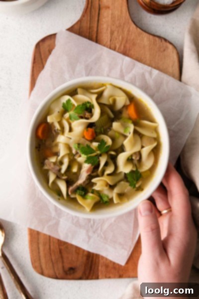 Cozy Instant Pot Turkey Noodle Soup 2 A bowl of hearty Instant Pot Turkey Noodle Soup with noodles, colorful vegetables, and shredded turkey
