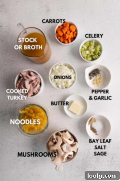 Cozy Instant Pot Turkey Noodle Soup 3 A selection of fresh ingredients including carrots, celery, onion, mushrooms, garlic, and sage for turkey soup