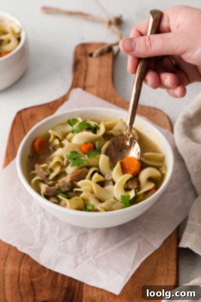 Cozy Instant Pot Turkey Noodle Soup 5 A close-up view of the hearty turkey noodle soup, showing the noodles, vegetables, and rich broth