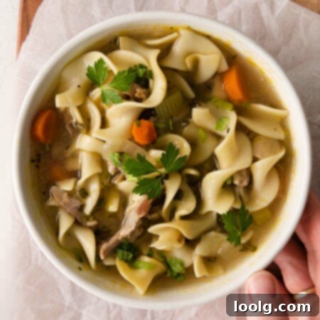 Cozy Instant Pot Turkey Noodle Soup 8 top view image of a bowl of hearty Instant Pot Turkey Noodle Soup loaded with colorful vegetables, tender egg noodles, and shredded turkey meat, garnished with fresh herbs.