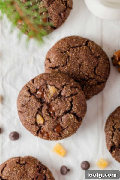 Decadent Chocolate Gingerbread Cookies 3 two freshly baked chocolate gingerbread cookies on parchment paper, ready to cool