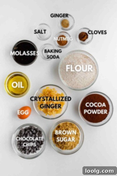 Decadent Chocolate Gingerbread Cookies 4 various ingredients laid out for chocolate gingerbread cookies, including flour, cocoa powder, spices, sugar, and molasses