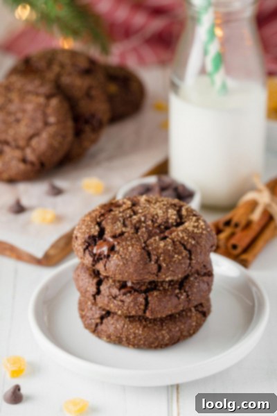 Decadent Chocolate Gingerbread Cookies 7 chocolate gingerbread cookies elegantly arranged on a plate