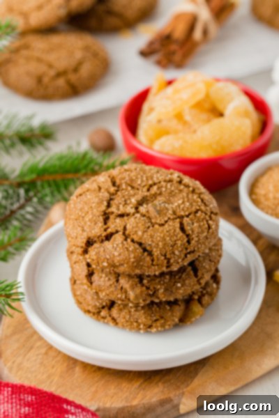 The Barefoot Contessa's Warming Ginger Delights 8 Jar of molasses