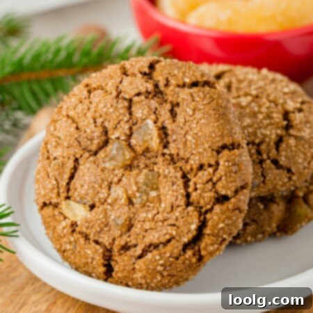 The Barefoot Contessa's Warming Ginger Delights 10 Image of homemade Ina Garten’s ginger cookies that can be made traditionally or you can make these cookies in a healthier way. This recipe also has a vegan option.