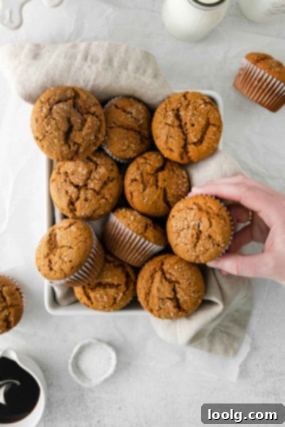 Spiced Gingerbread Muffins 2 A freshly baked gingerbread muffin resting in a muffin liner, showcasing its golden-brown top and coarse sugar sprinkle.